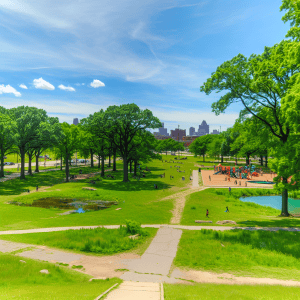 Parkland Detroit MI image